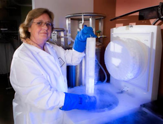 RNS EXCESS EMBRYOS a