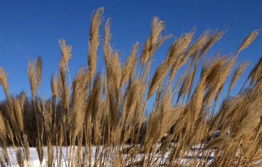 RNS WINTER RELIGION4.JPG