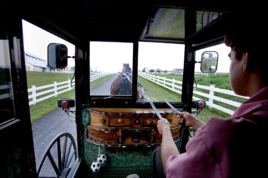 RNS AMISH GROWTH a