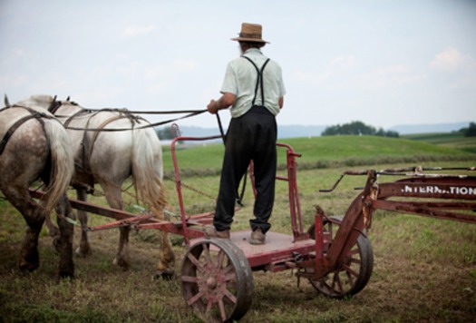 RNS AMISH GROWTH b