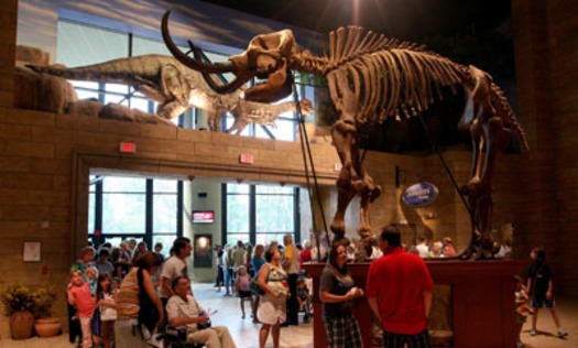 RNS CREATION MUSEUM c