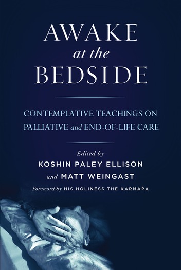 Awake-at-the-Bedside-Cover-2016