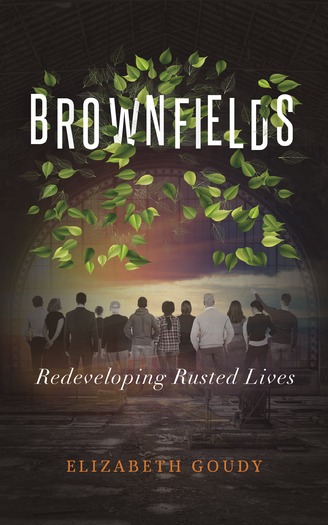 BrownfieldsBookCover
