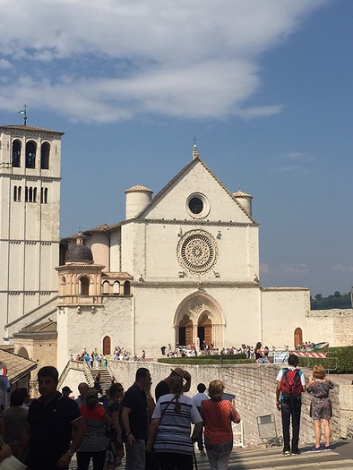 web RNS-ASSISI-POPE