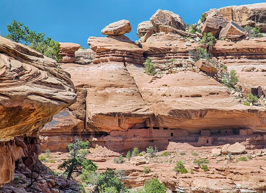 webRNS-BEARS-EARS4 030217
