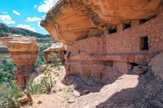 PRINT RNS-BEARS-EARS5 030217