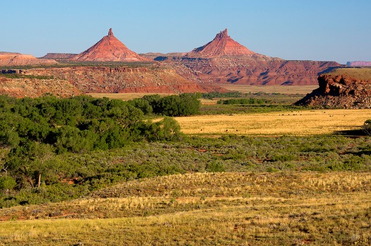 webRNS-BEARS-EARS3 030217