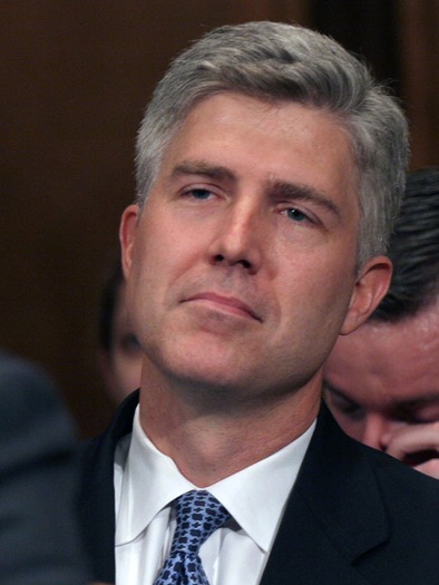 webRNS-NEIL-GORSUCH 013117a