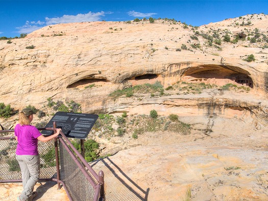 webRNS-BEARS-EARS2 030217