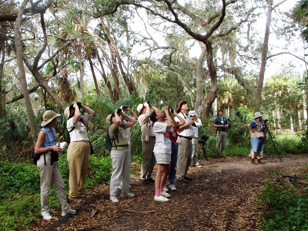 Bird Watching at Emerson Point Preserve