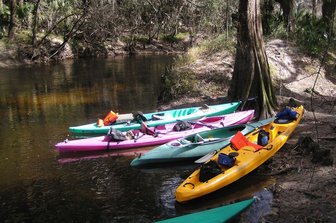 Docked Kayaks