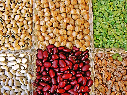 PRINT A variety of legumes.  Photo courtesy of Creative Commons