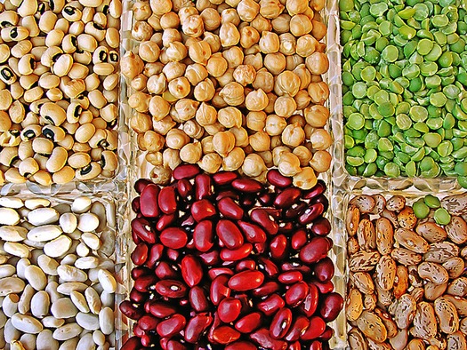 WEB A variety of legumes.  Photo courtesy of Creative Commons