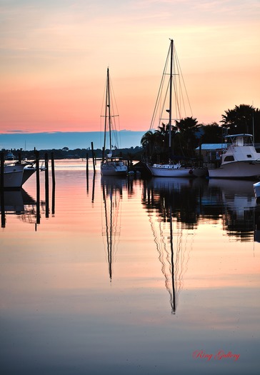 Sailboats - Ring Gallery