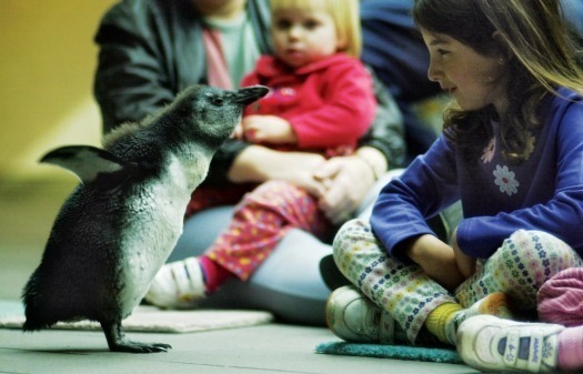 National Aviary