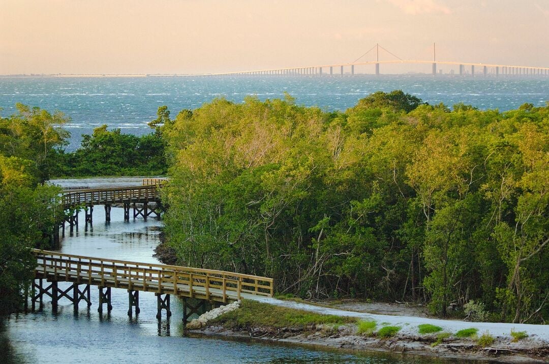 Robinson Preserve