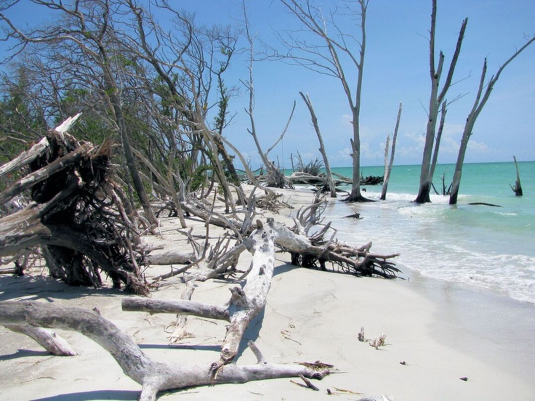 Greer Island