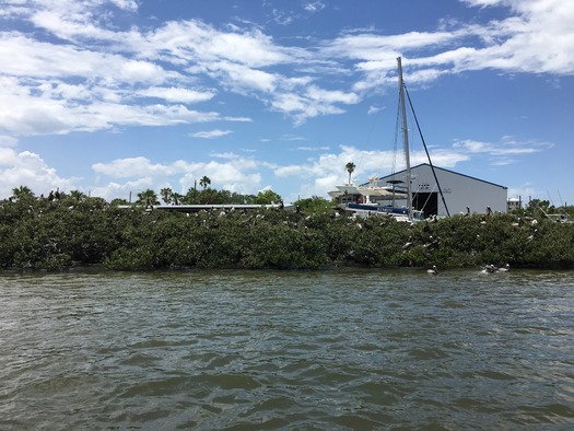 Bird Rookery Islands on Intracoastal Waterway (6)