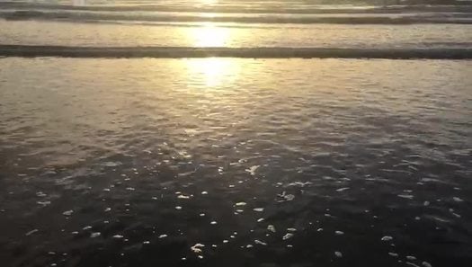 New Smyrna Beach Sunrise Video