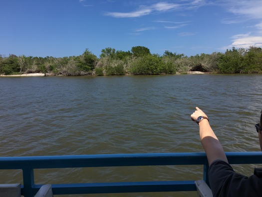 Marine Discovery Center Boat Tour (7)