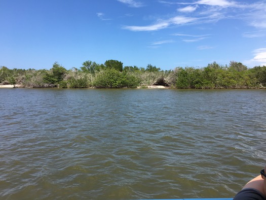 Marine Discovery Center Boat Tour (8)