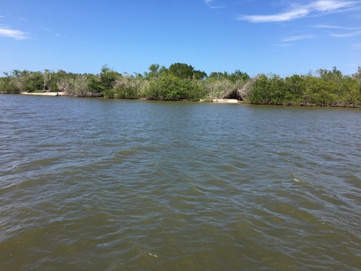 Marine Discovery Center Boat Tour (9)