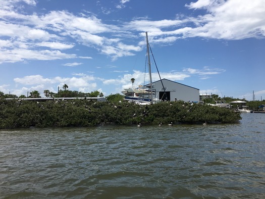 Bird Rookery Islands on Intracoastal Waterway (4)