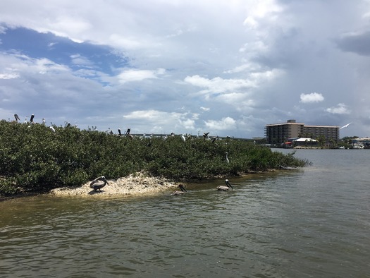 Bird Rookery Islands on Intracoastal Waterway (1)