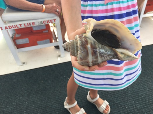 Marine Discovery Center Boat Tour (1)