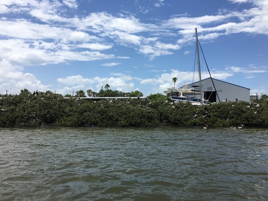 Bird Rookery Islands on Intracoastal Waterway (5)