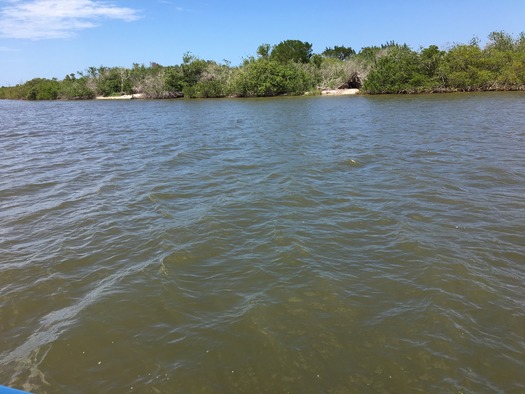 Marine Discovery Center Boat Tour (11)