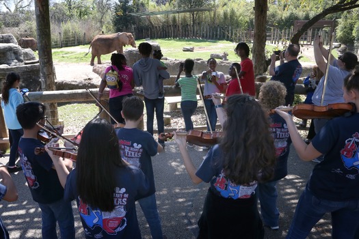 Cameron Park Zoo - Spring Break 03-15-17 40