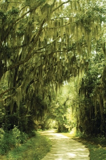 Alfred B. Maclay State Gardens Walkway