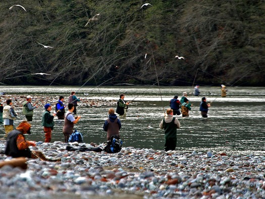 Fishing the Squamish River