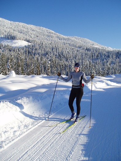 Nordic Skier 2