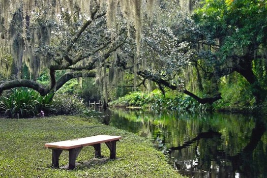 Frog Creek RV