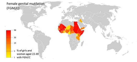 RNS-FGM-MAP-UNICEF-2013