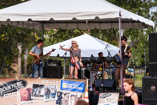 Pickin Picnic 2015