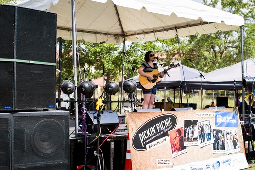 Pickin Picnic 2015 too