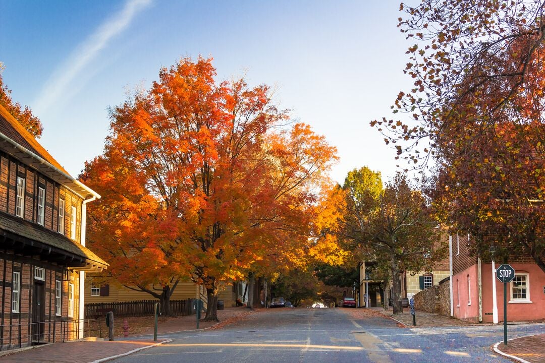 Old Salem Fall Streetscape