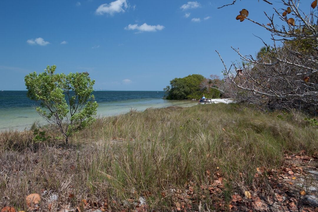 Emerson Point Preserve