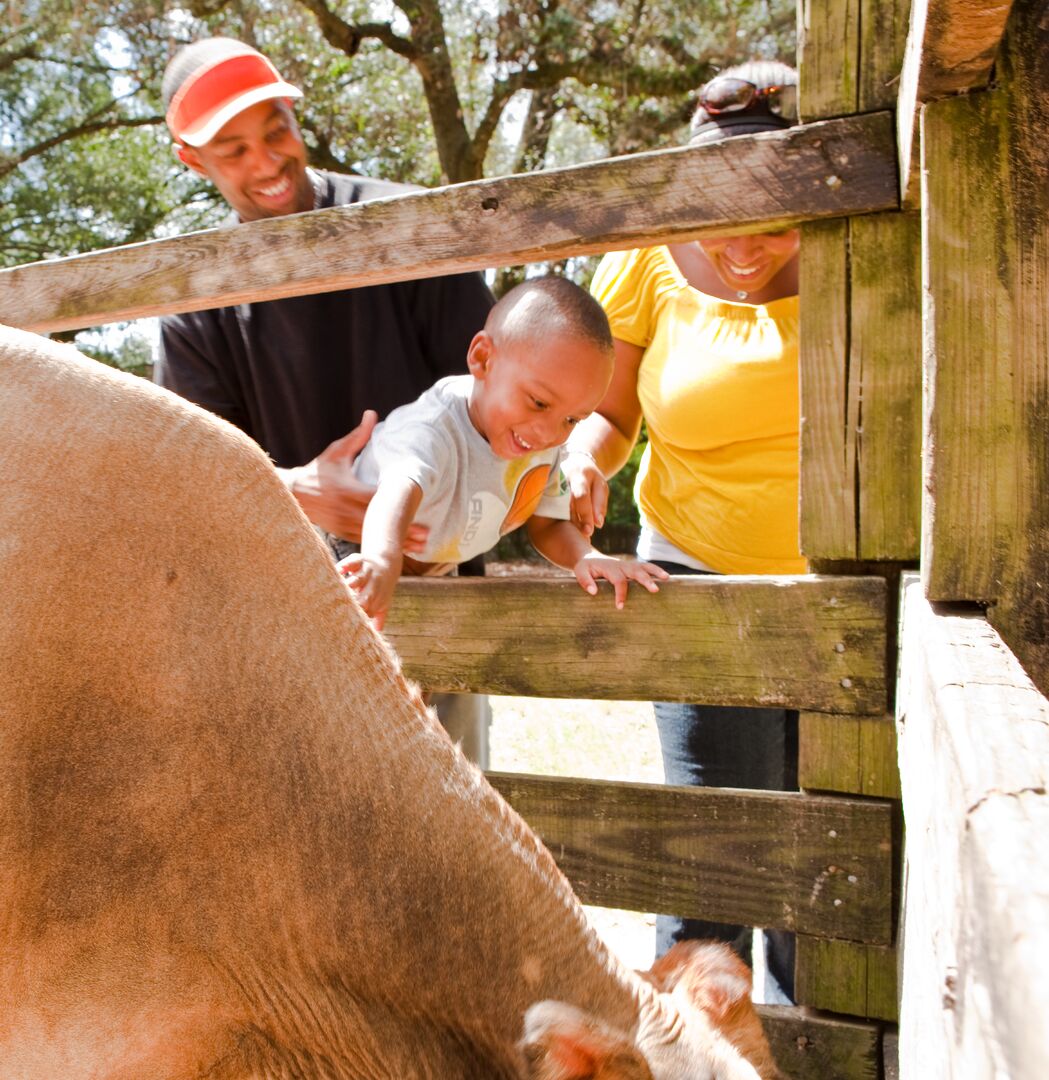 Tallahassee Museum animals