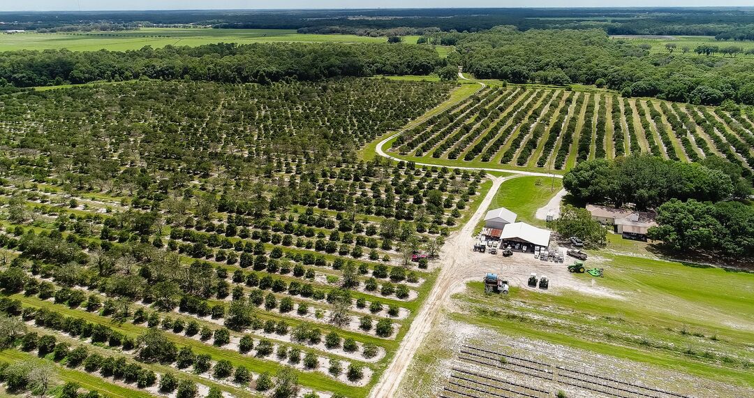 Crop Farm