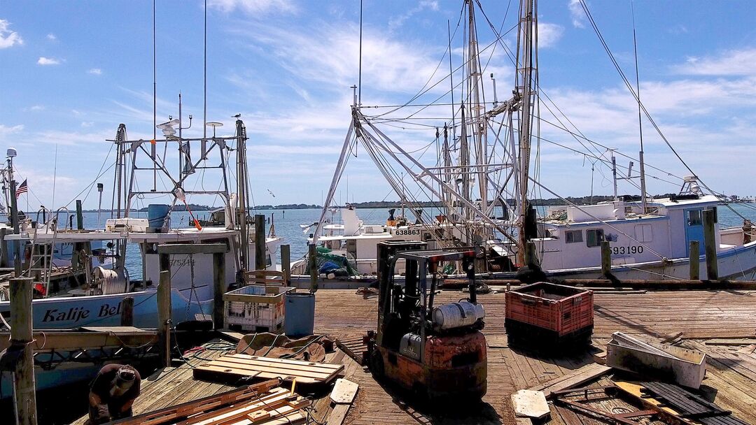 Cortez Fishing Village