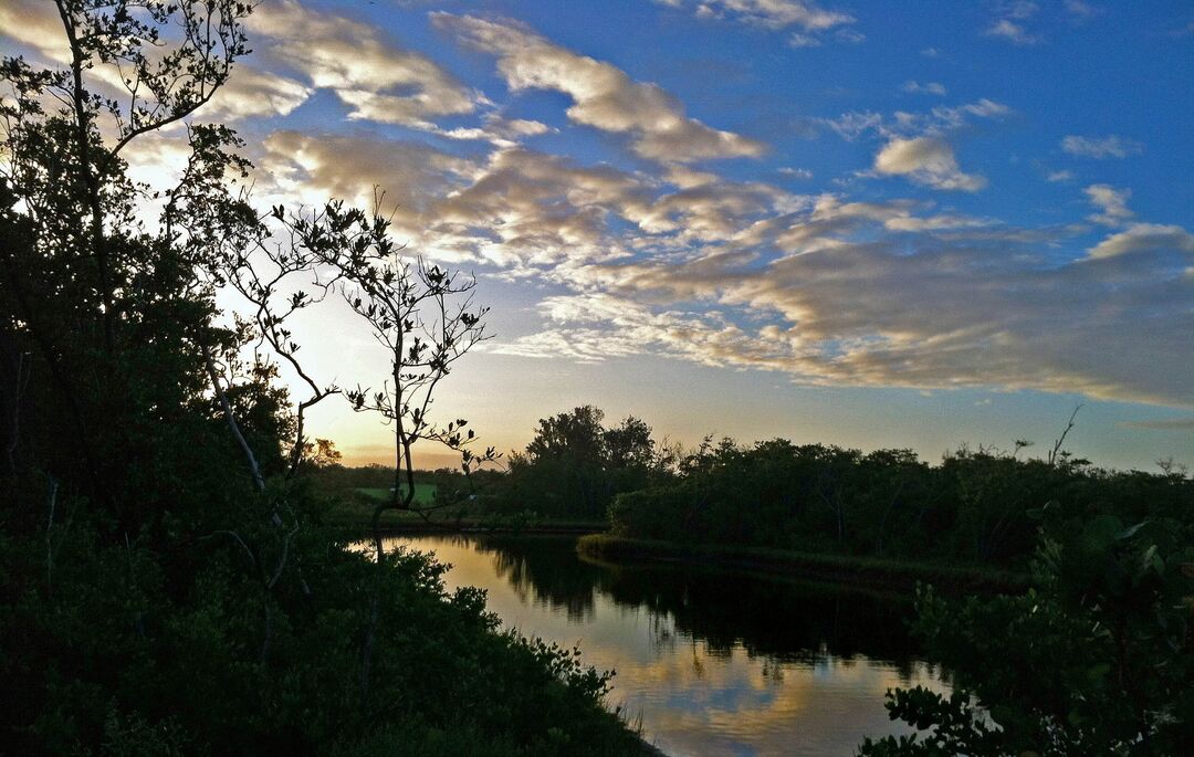Robinson Preserve