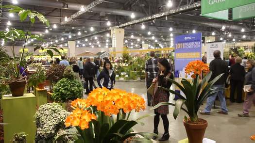 PHS Philadelphia Flower Show