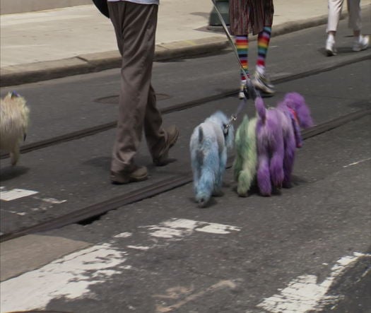 PrideDay LGBT Parade and Festival