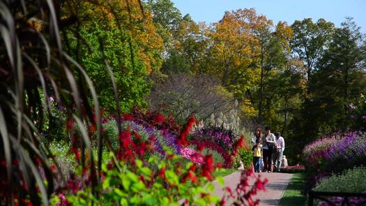 Longwood Gardens flowers pan to path
