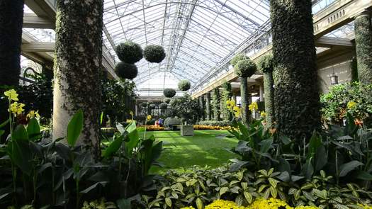 Longwood Gardens conservatory interior