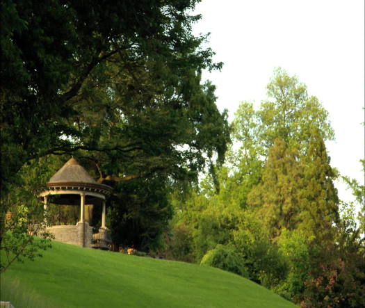 Morris Arboretum